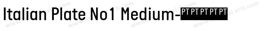 Italian Plate No1 Medium字体转换